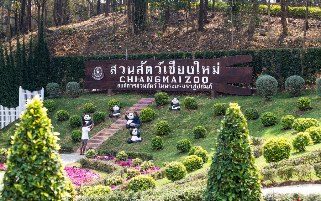 สวนสัตว์เชียงใหม่ 11 ที่เที่ยวเชียงใหม่ เที่ยวสุขใจใกล้ตัวเมืองไปกับ Welo E-Bike