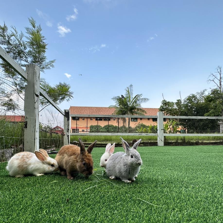 Fin Farm Home Cafe Welo E-Bike ชวนคุณพาลูกๆเที่ยว รวม 16 จุดที่เที่ยวครอบครัว!