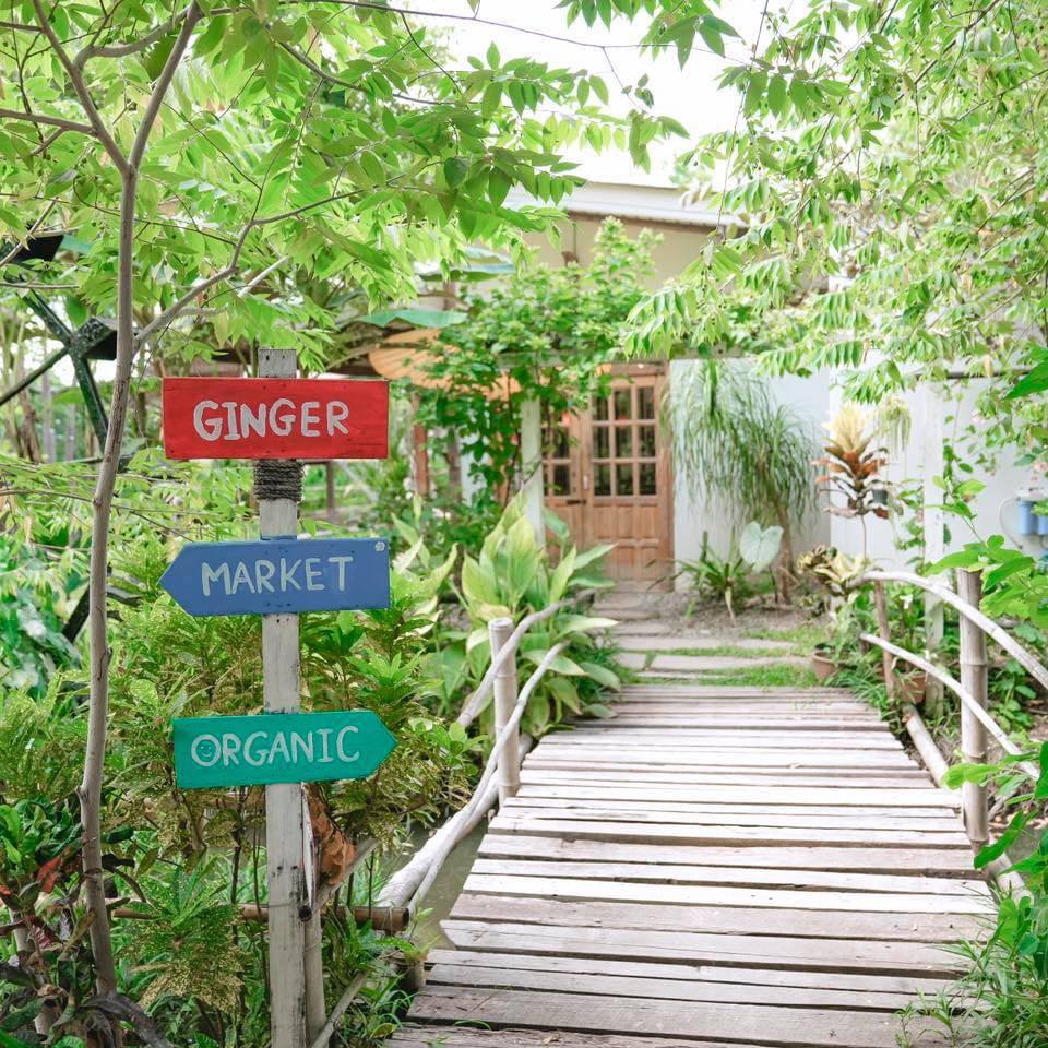 Ginger Farm Welo E-Bike ชวนคุณพาลูกๆเที่ยว รวม 16 จุดที่เที่ยวครอบครัว!