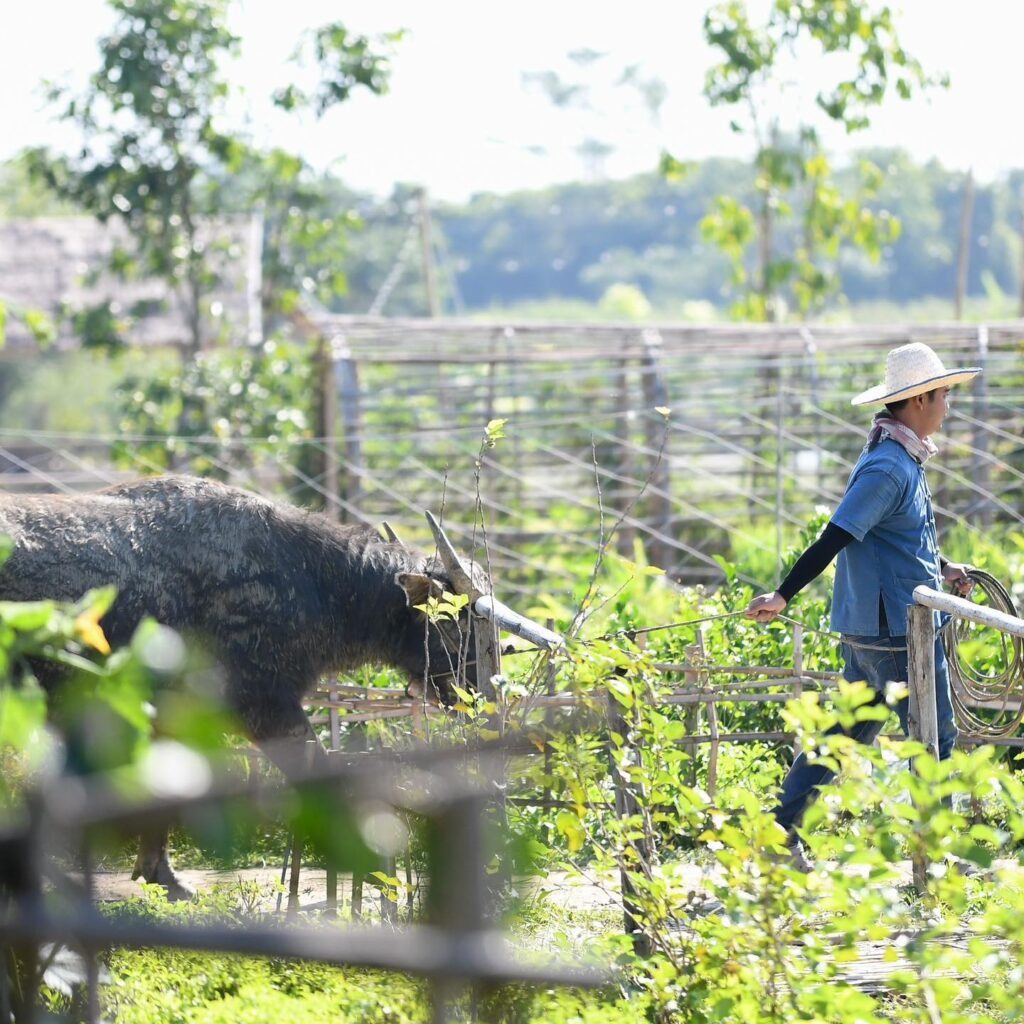 Ginger Farm Welo E-Bike ชวนคุณพาลูกๆเที่ยว รวม 16 จุดที่เที่ยวครอบครัว!
