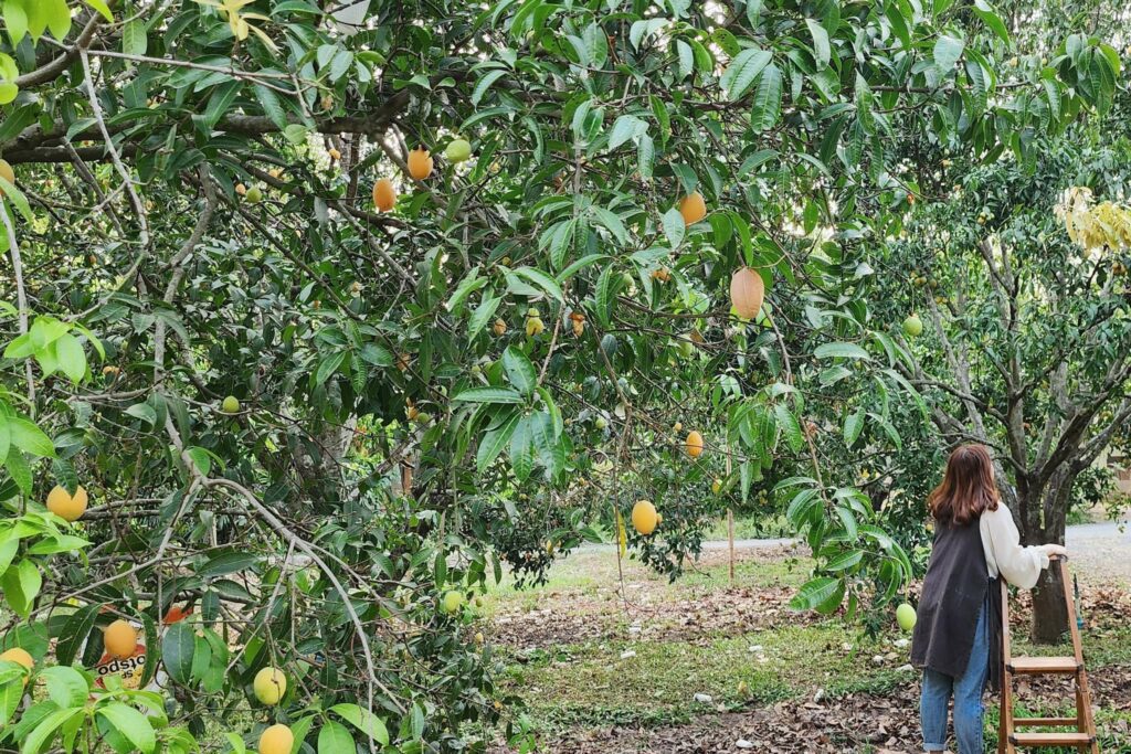 Pan's Farm Welo E-Bike ชวนคุณพาลูกๆเที่ยว รวม 16 จุดที่เที่ยวครอบครัว!