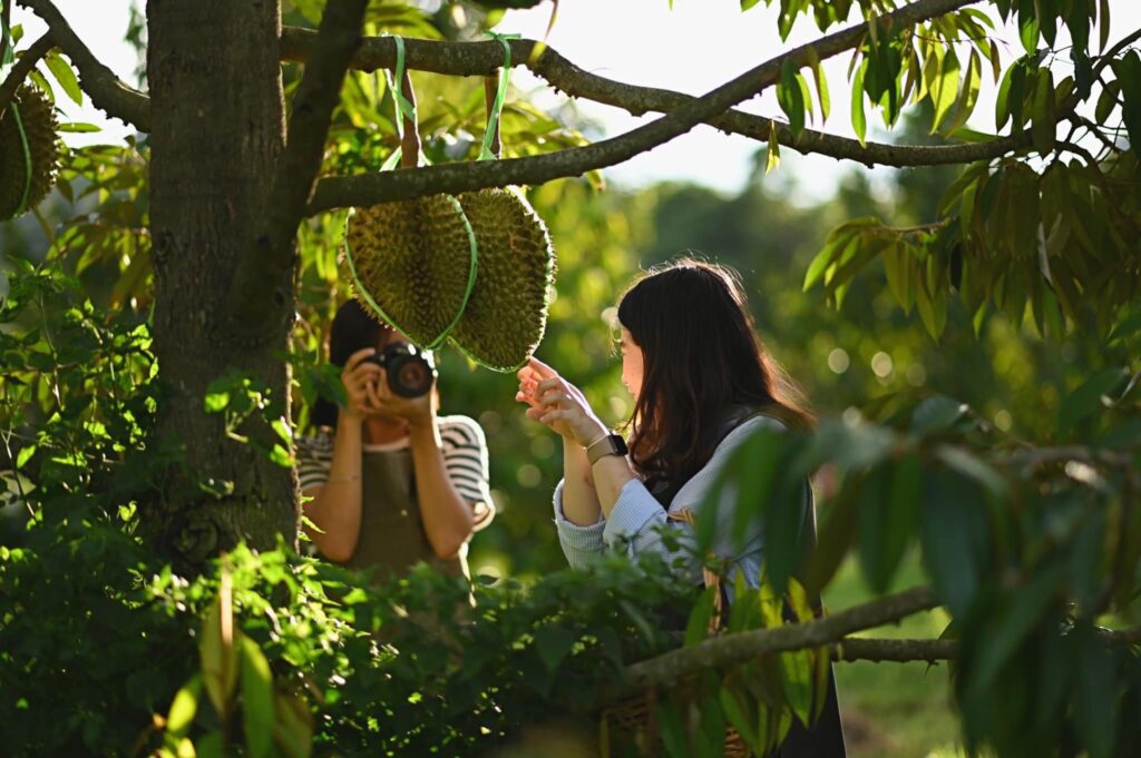 Pan's Farm Welo E-Bike ชวนคุณพาลูกๆเที่ยว รวม 16 จุดที่เที่ยวครอบครัว!