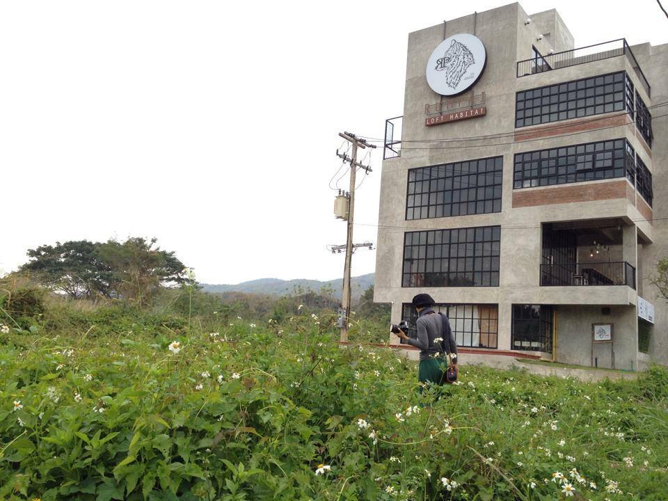 ร่ำไป ลอฟท์ ฮาบิแทต Welo E-Bike เอาใจคนรักสัตว์ โรงแรมที่เอาสัตว์เลี้ยงเข้าพักได้