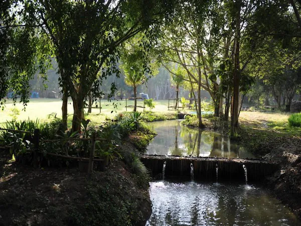 สิปปะ ฮอตสปริง รีสอร์ต Welo E-Bike เอาใจคนรักสัตว์ โรงแรมที่เอาสัตว์เลี้ยงเข้าพักได้