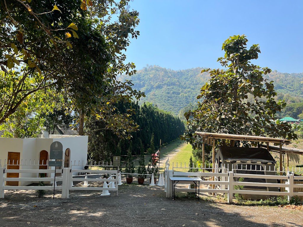 Rachel Coffee Welo E-Bike ชวนคุณไปเช็กอินคาเฟ่ กลางธรรมชาติที่เชียงใหม่!