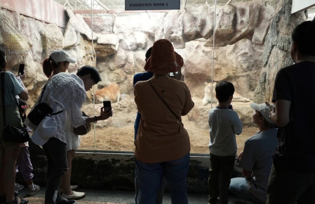 Welo E-Bike ชวนไปดูความน่ารักของน้องเอวา เสือแบ๊วไนท์ซาฟารี