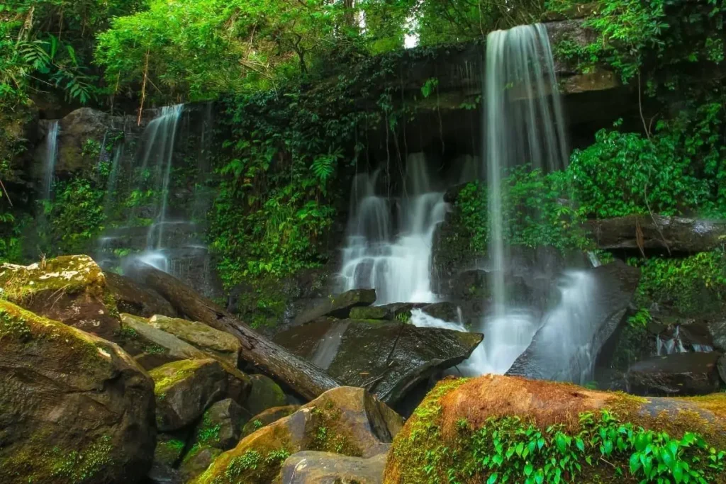 อุทยานแห่งชาติภูหินร่องกล้า - รวม 10 ที่เที่ยวธรรมชาติในพิษณุโลก เที่ยวสบายด้วย WelO Bike สนุกกับการเที่ยวชมวิว สูดอากาศบริสุทธิ์แบบสายกรีน